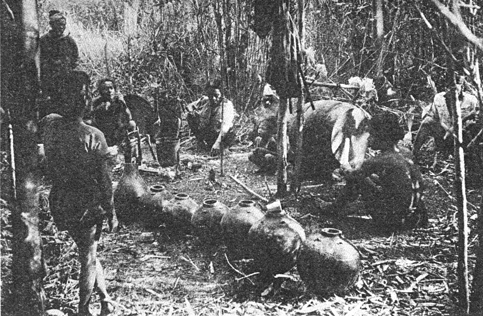 Campement céremoniel Mnong Gar en bambouseraie (1948)